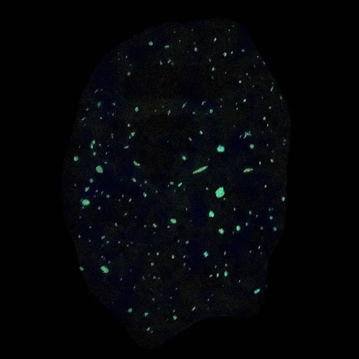BAPE Glow Camo Big Ape Head T-Shirts