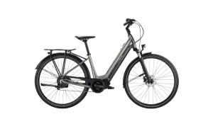 Bianchi T-Tronik C-Type Ebike
