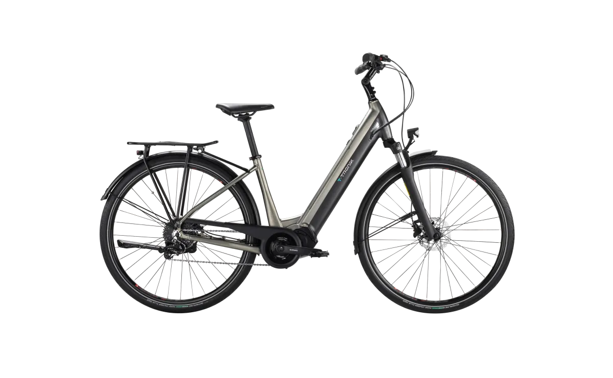 Bianchi T-Tronik C-Type Ebike