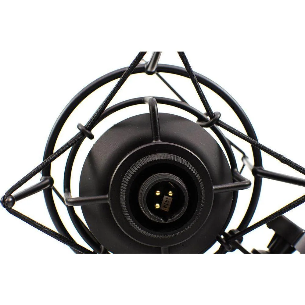 CAD Equitek E300S Large Diaphragm Multi-Pattern Condenser Microphone