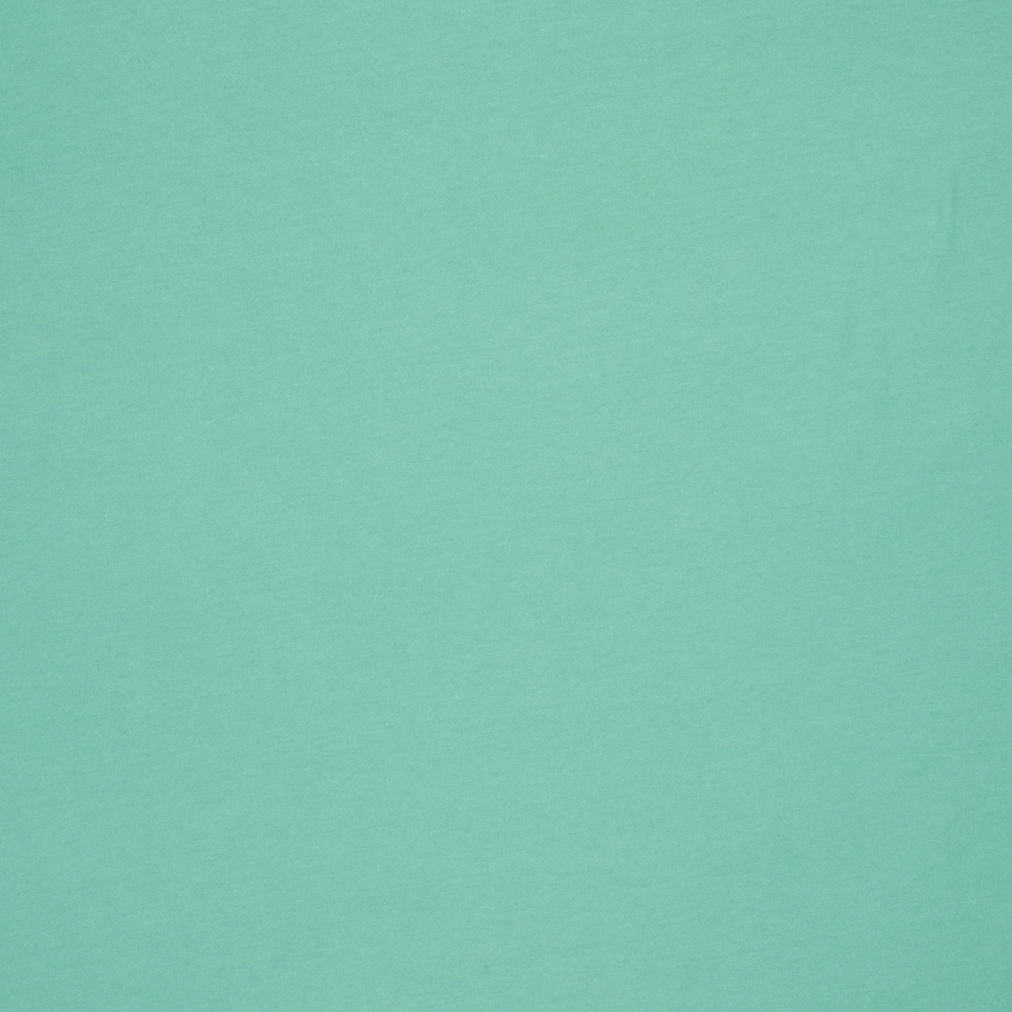 Cotton Knit Plain Mint Green