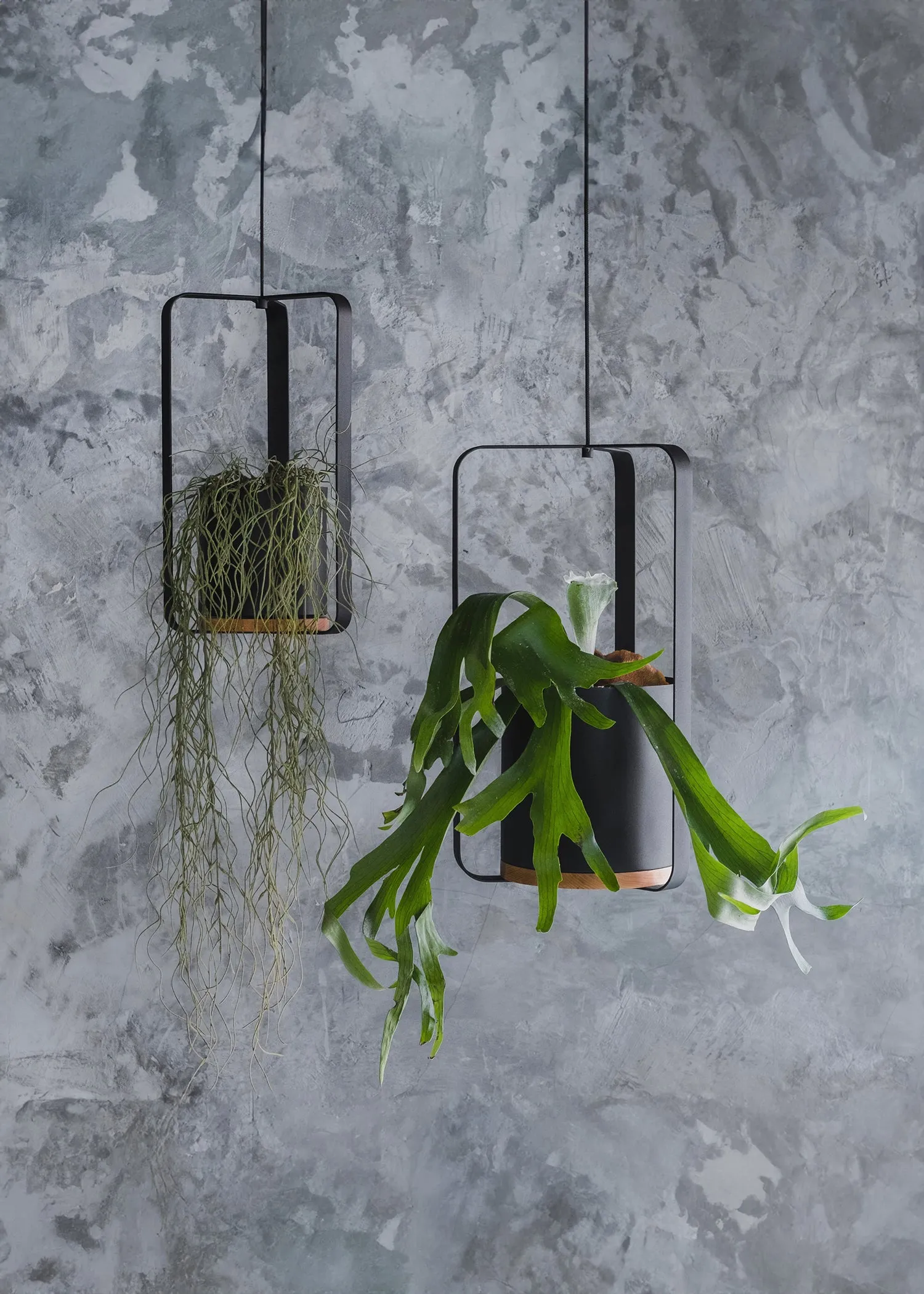 Eko Black & Ash Wood Hanging Planters