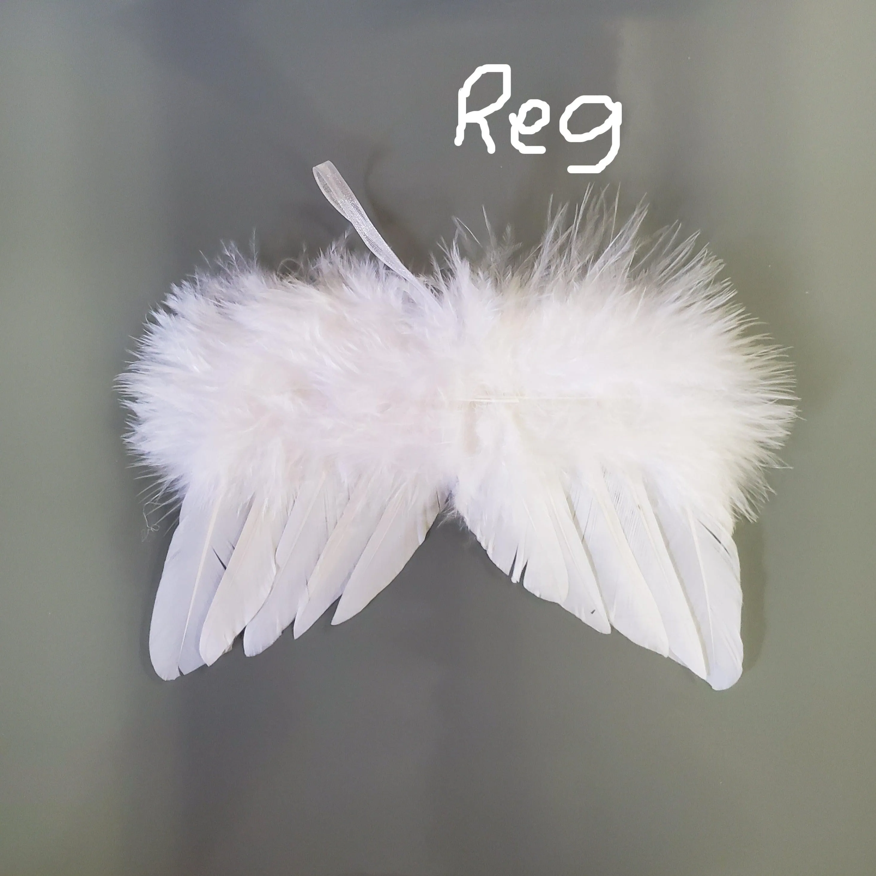 Feather Angel Wings