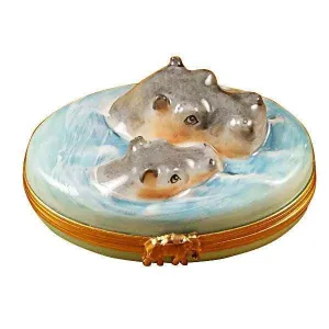 Hippo with Baby in Water