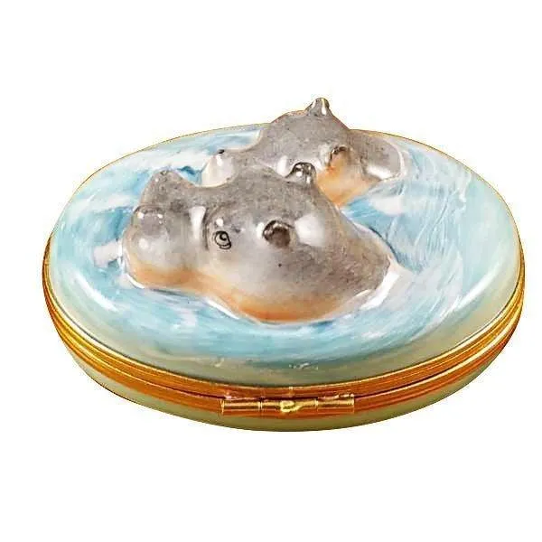 Hippo with Baby in Water