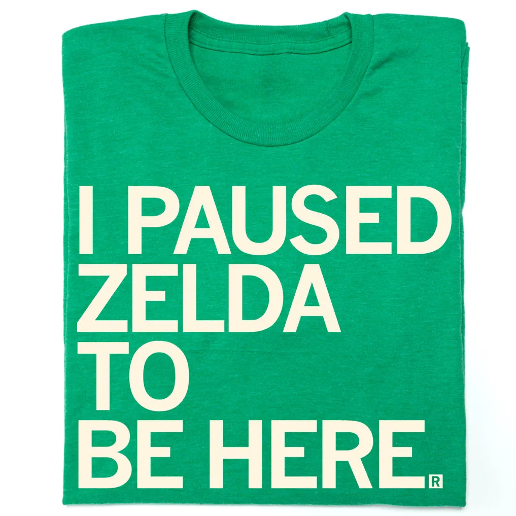 I Paused Zelda To Be Here
