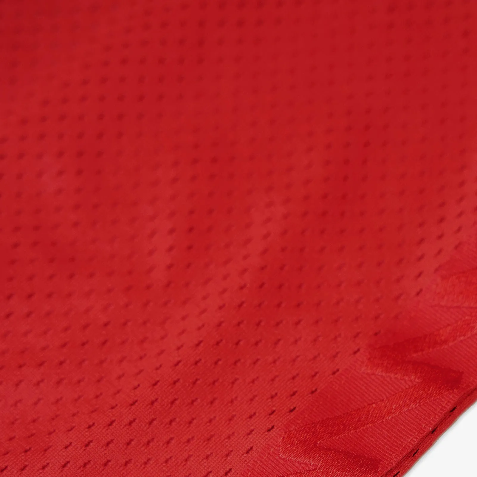 Jordan X Zion Dri-FIT Tank Top - Red