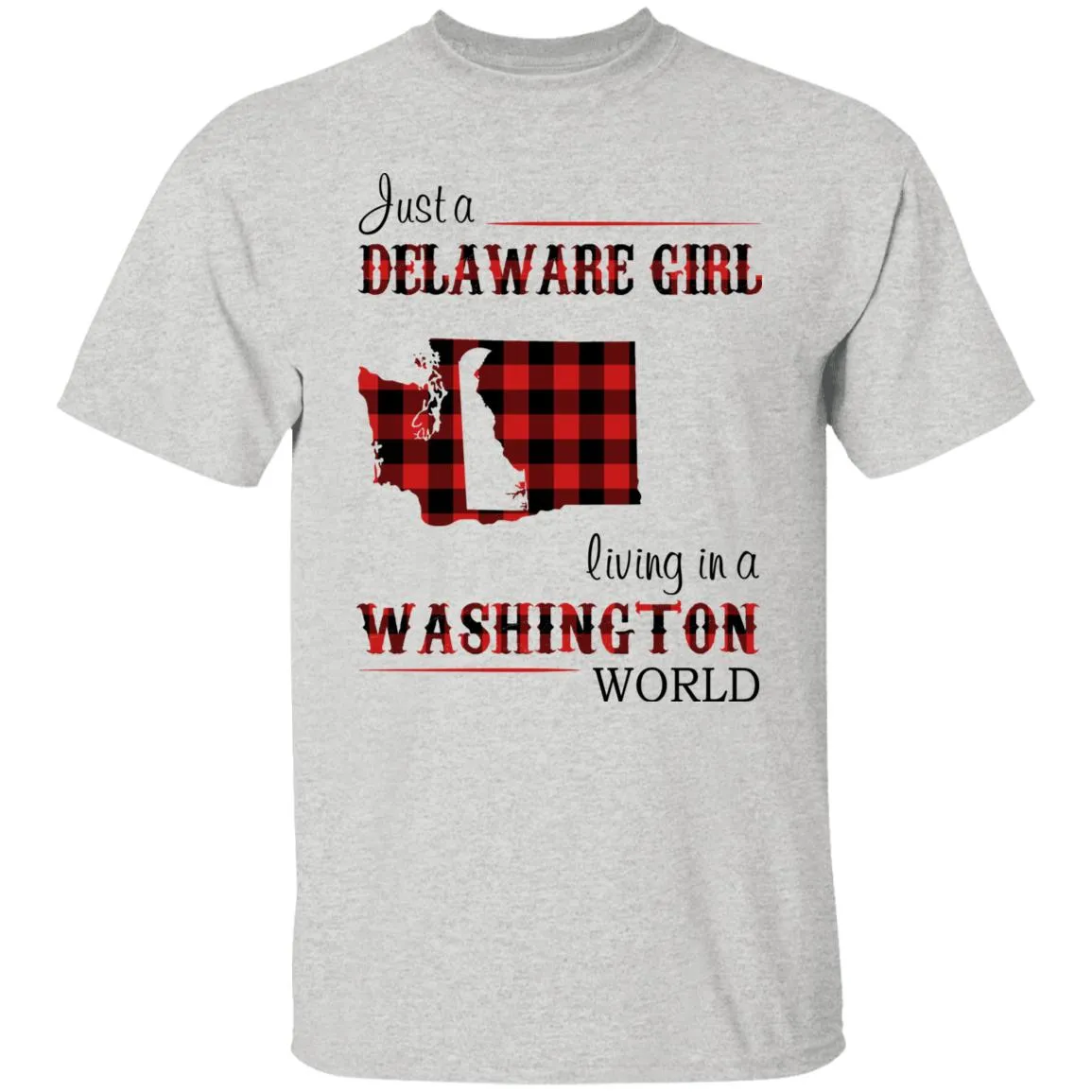 Just A Delaware Girl Living In A Washington World T-shirt