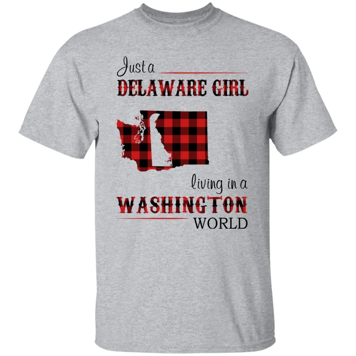 Just A Delaware Girl Living In A Washington World T-shirt
