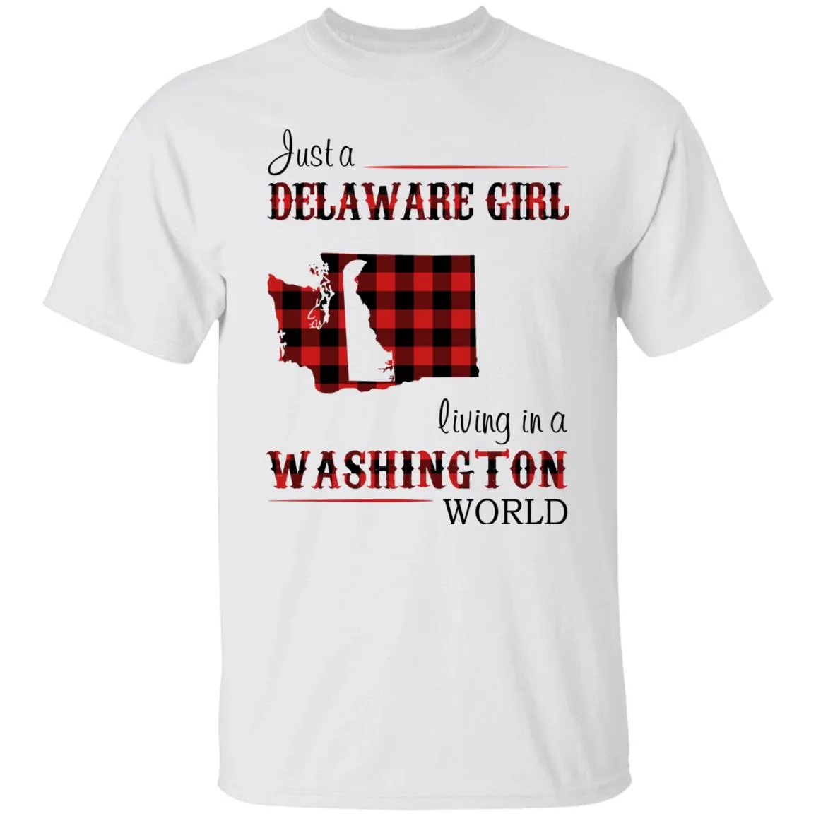 Just A Delaware Girl Living In A Washington World T-shirt