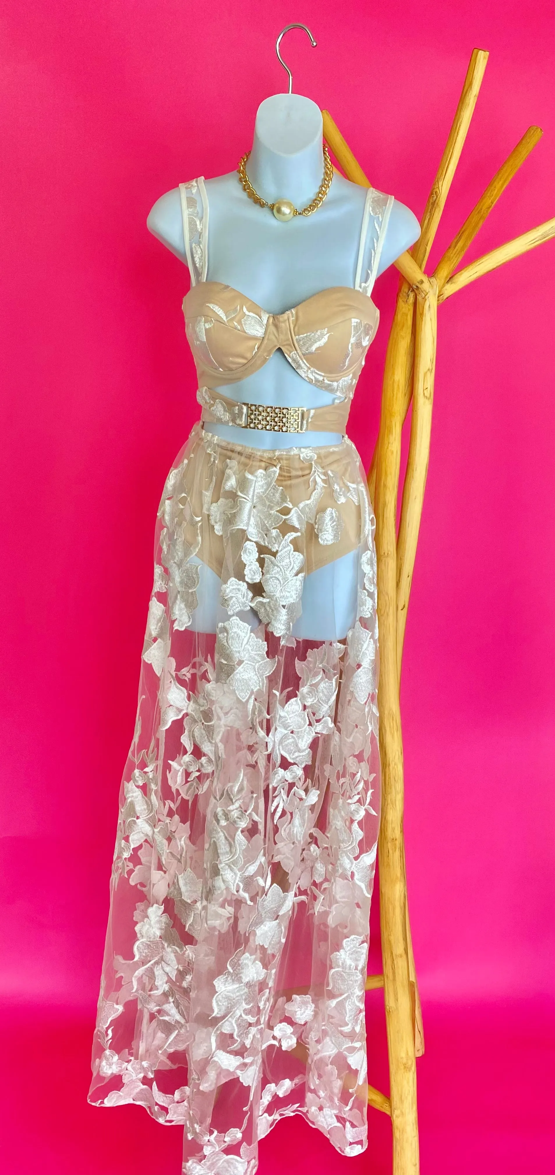 Lace mesh elegant dress