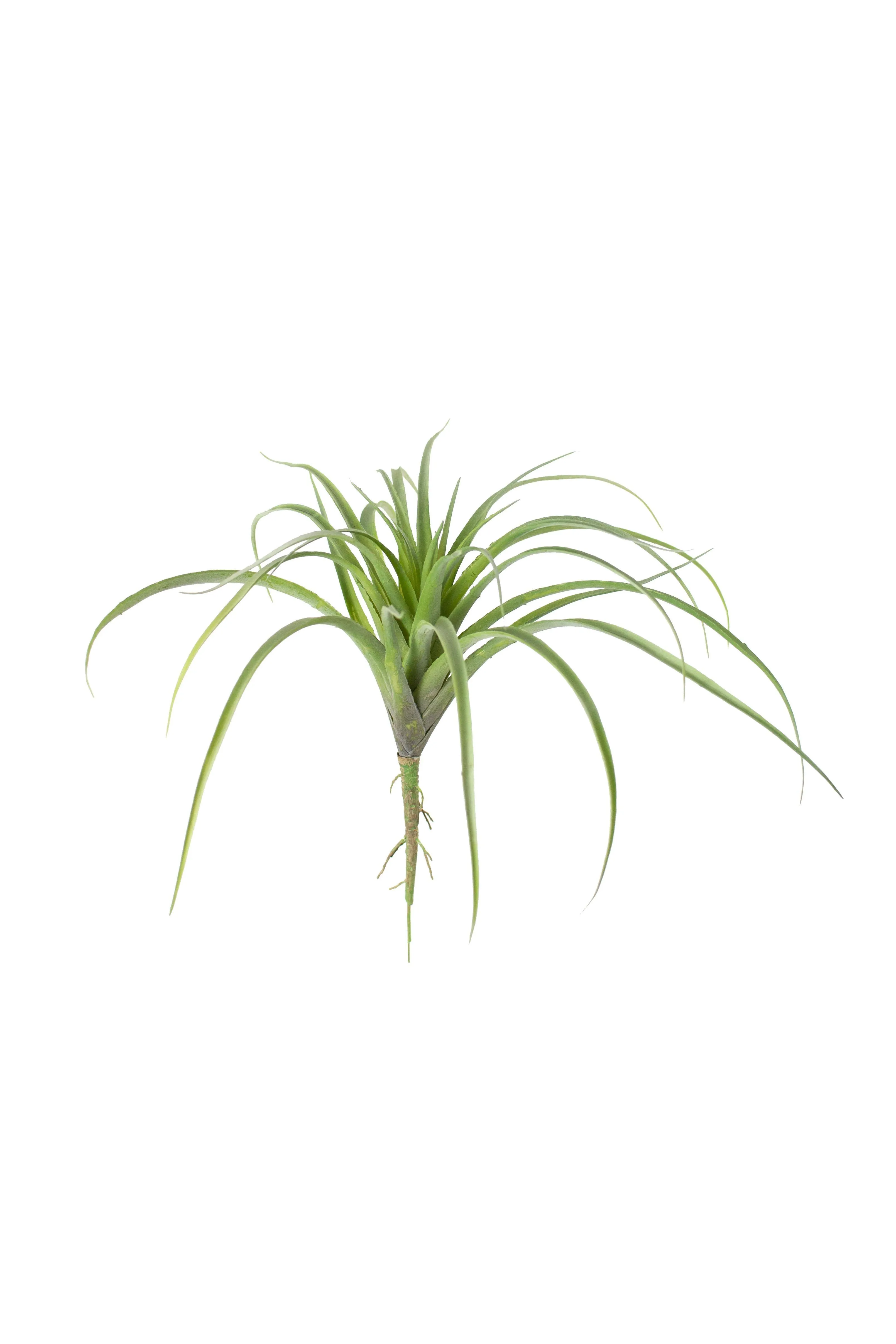 Large Artificial Air Plant (Pack of 6)