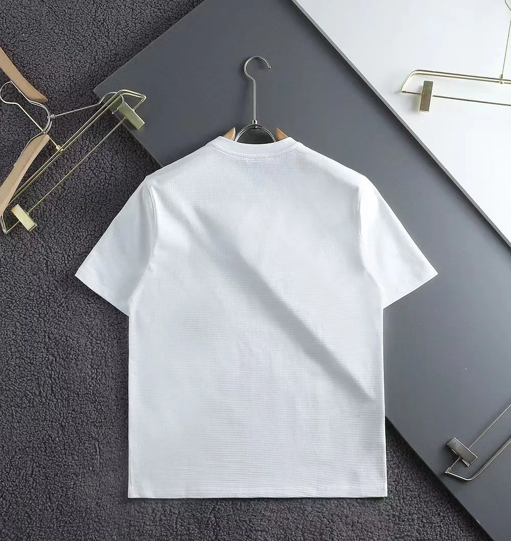 Luxury Classic Regular Fit T-shirt for Men