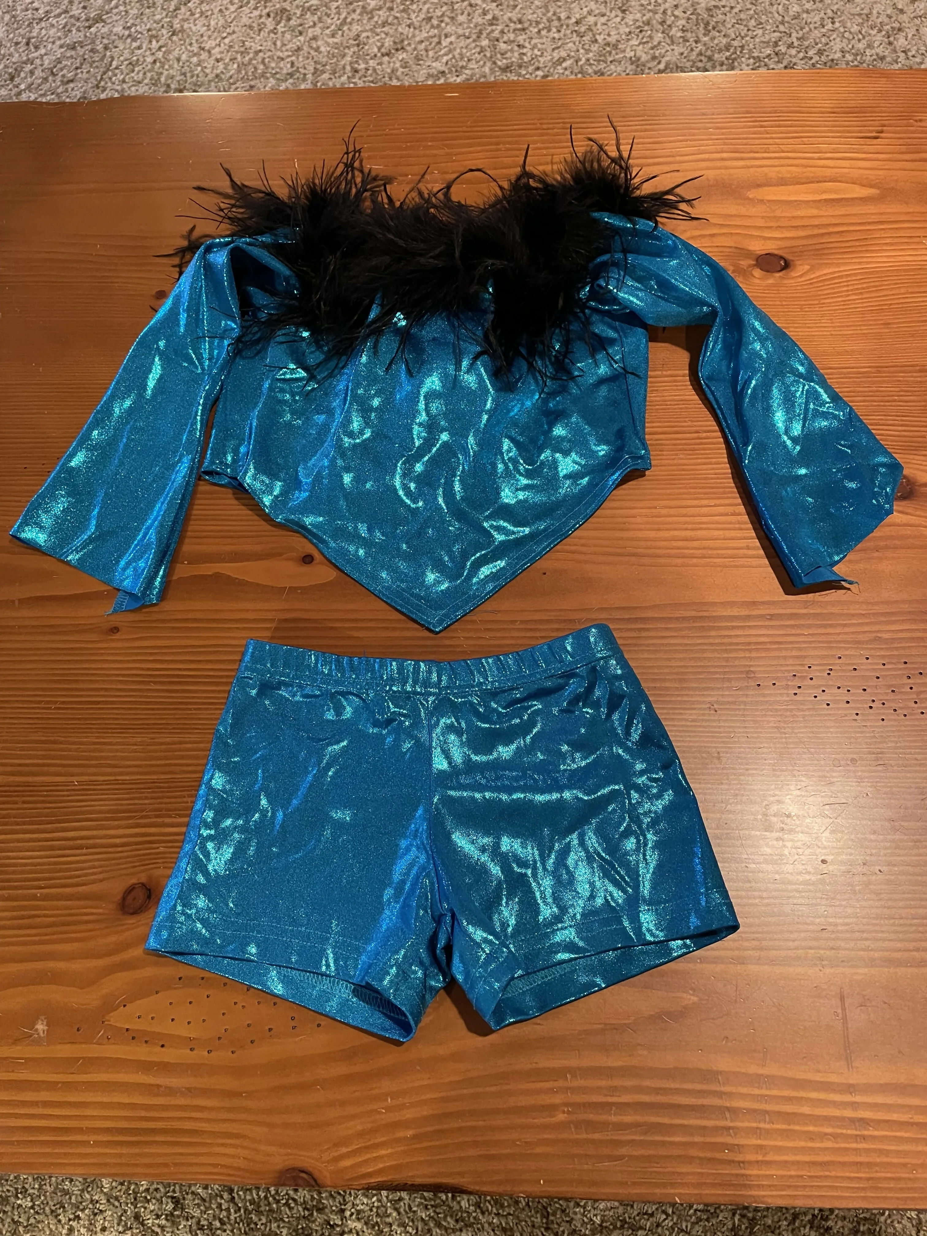 Metallic Blue with Feathers