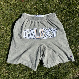 Nut Meg Gym Shorts (Champion)