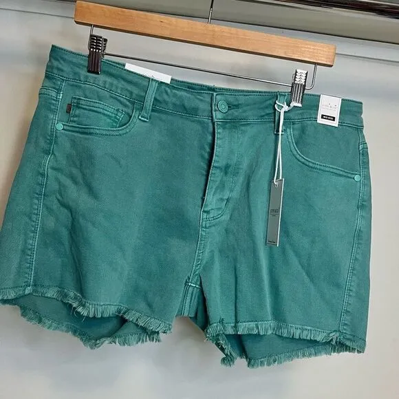 NWT Judy Blue shorts size 32
