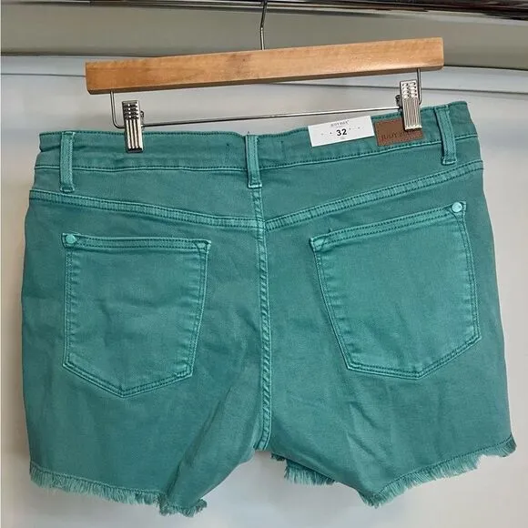 NWT Judy Blue shorts size 32