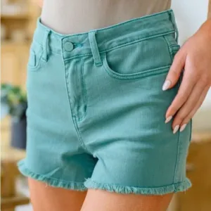 NWT Judy Blue shorts size 32