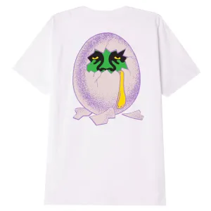 Obey broken yolk