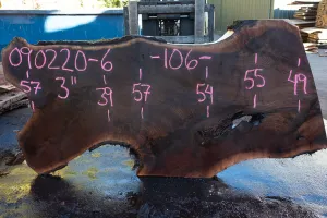 Oregon Black Walnut Slab 090220-06