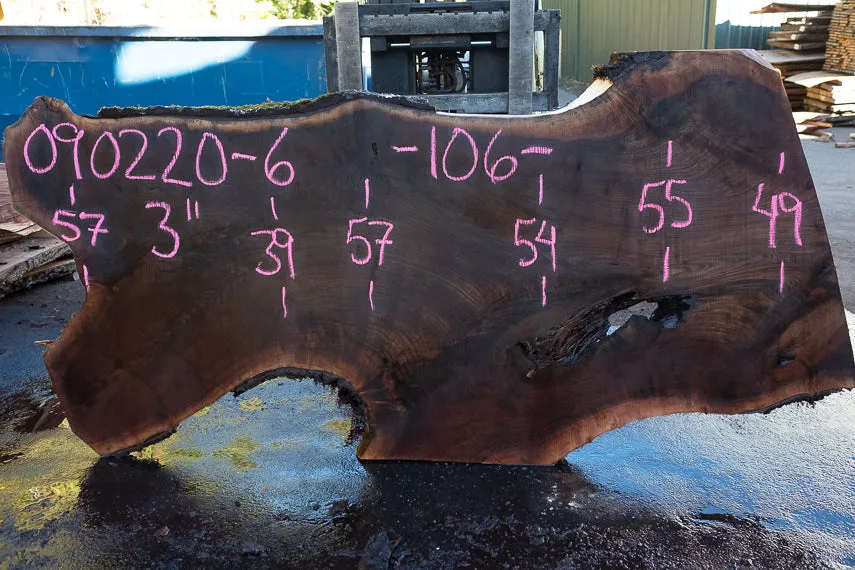 Oregon Black Walnut Slab 090220-06
