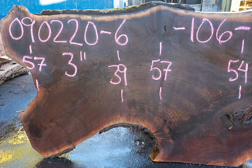 Oregon Black Walnut Slab 090220-06