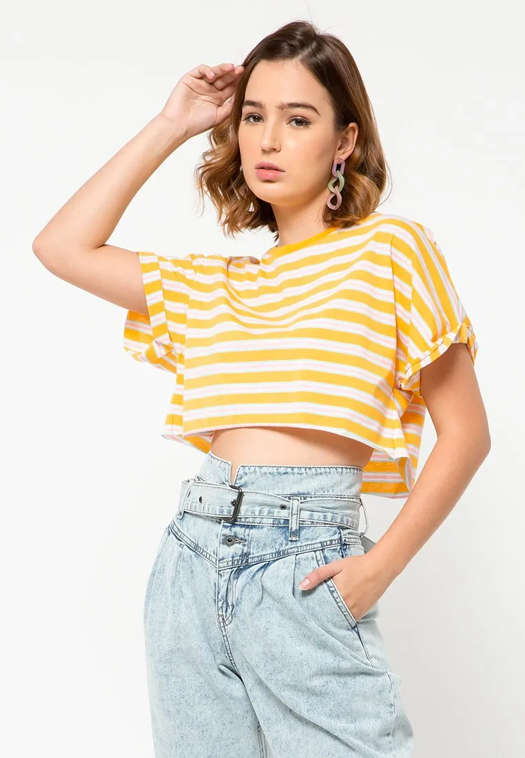 Stripe Crop Top