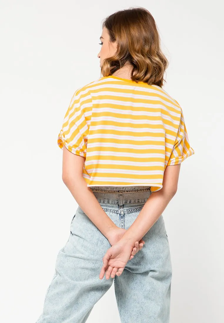 Stripe Crop Top