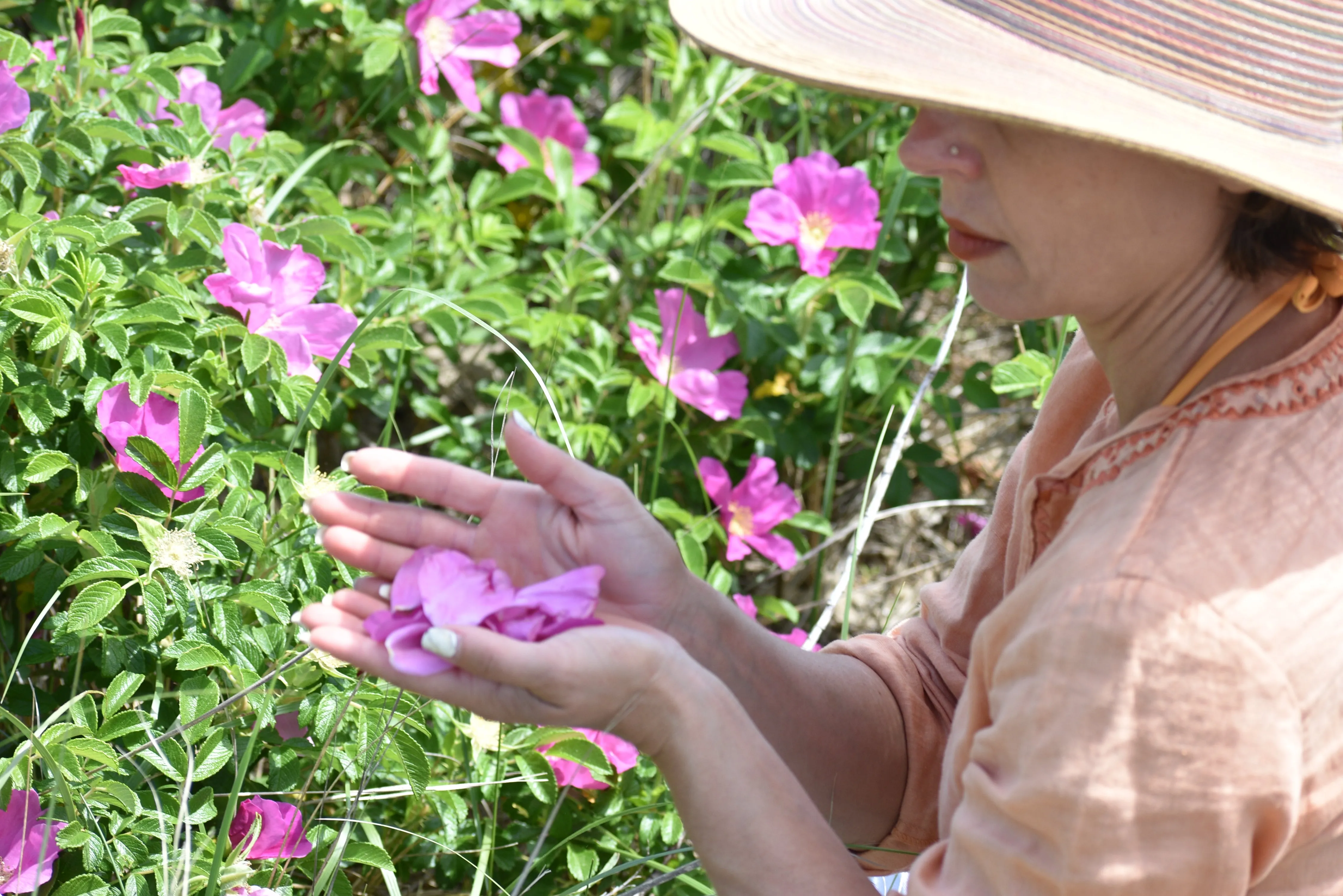 THE ROSE COLLECTOR - Natural Botanical Perfume - Peak Bloom