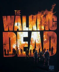 Walking Dead tee with Fire Logo