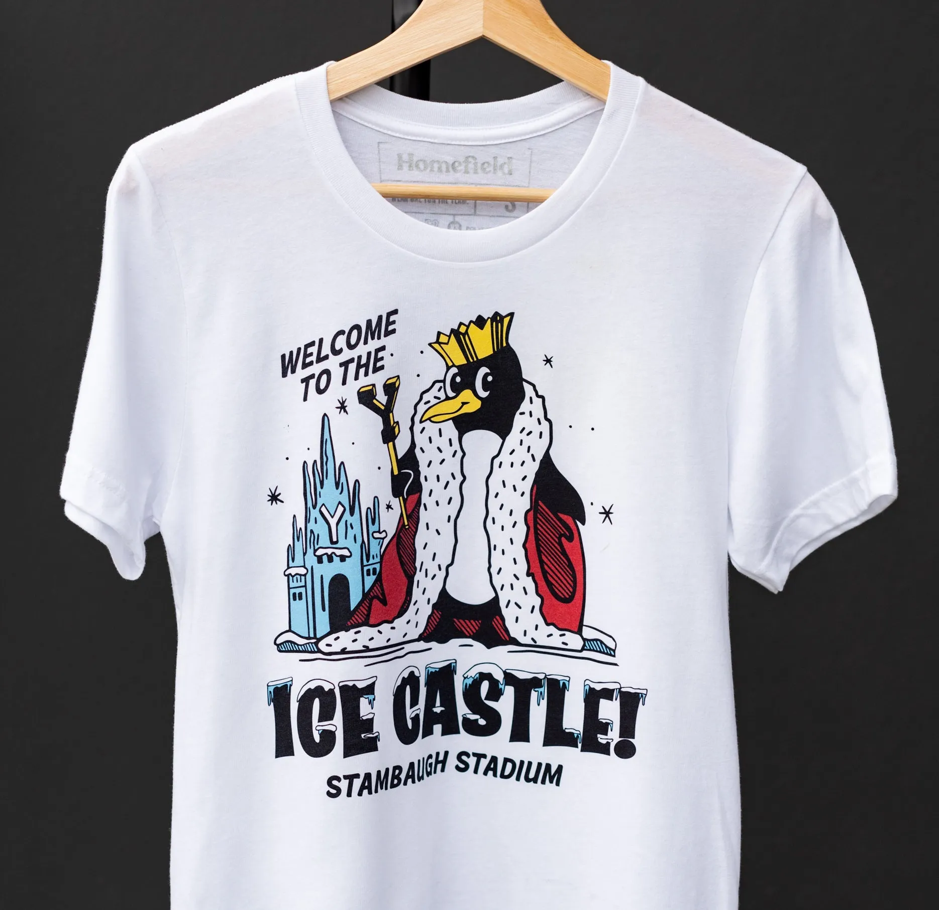 Youngstown State Ice Castle Tee